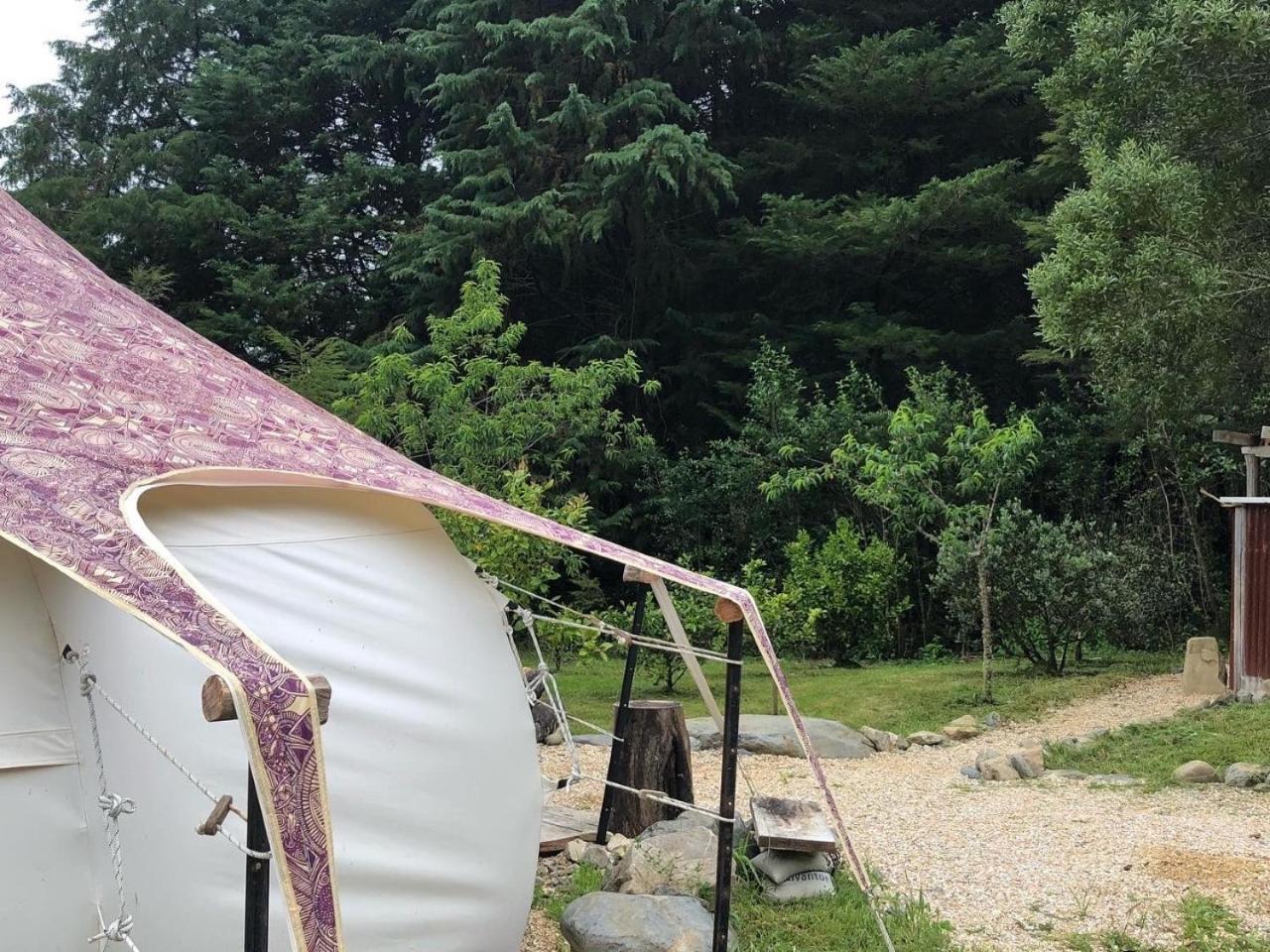 Golden Bay Glamping 호텔 타카카 외부 사진